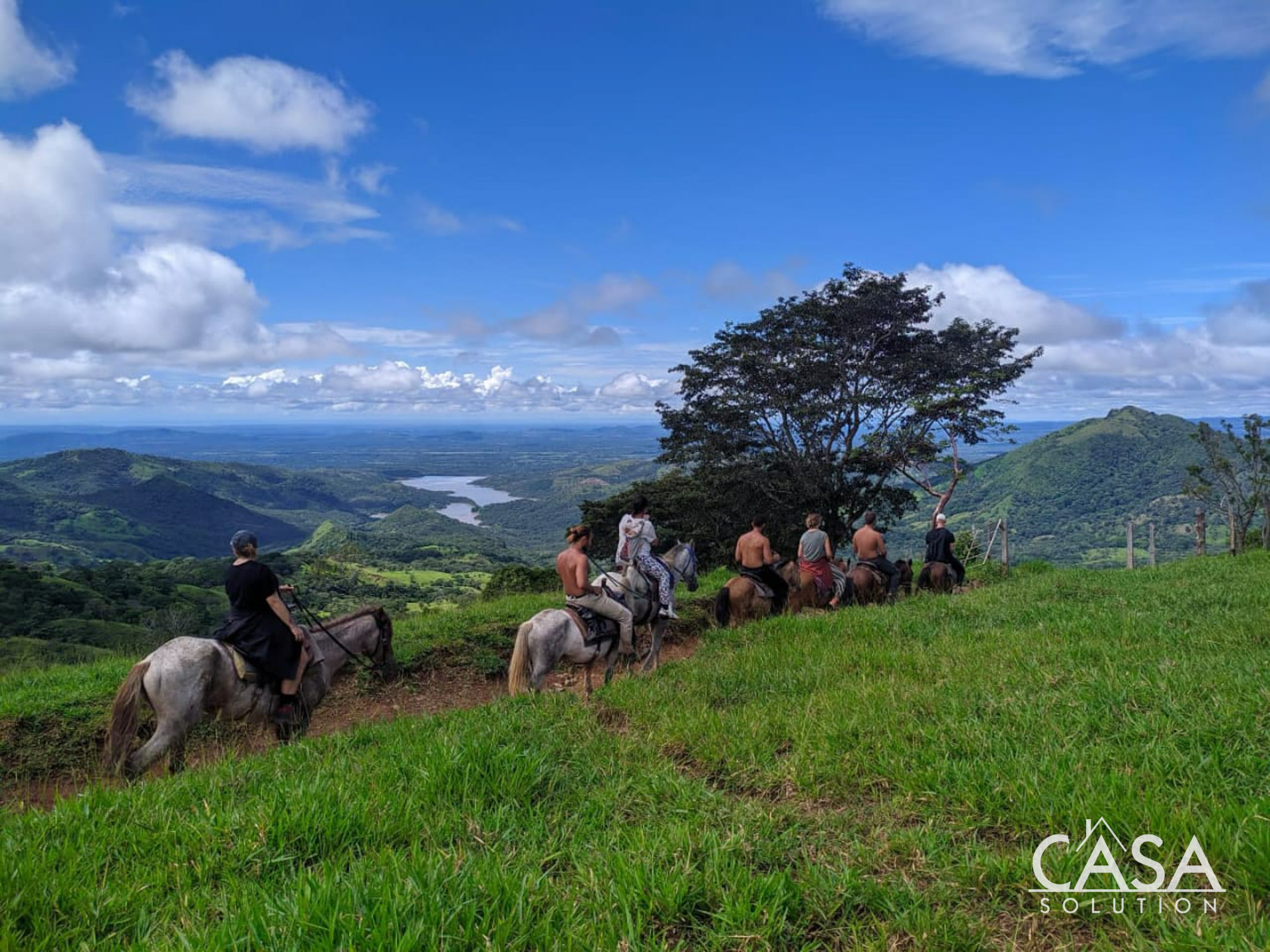 Huge Price Reduction! Eco Resort in Mountain Cloud Forest – Fully Operating – Eco Resort en el bosque nuboso de montaña – en pleno funcionamiento