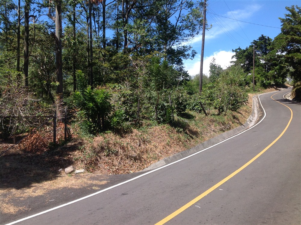 withdrawn Price Reduced! Beautiful Palmira Boquete Lot for Sale on Paved Road photo 5