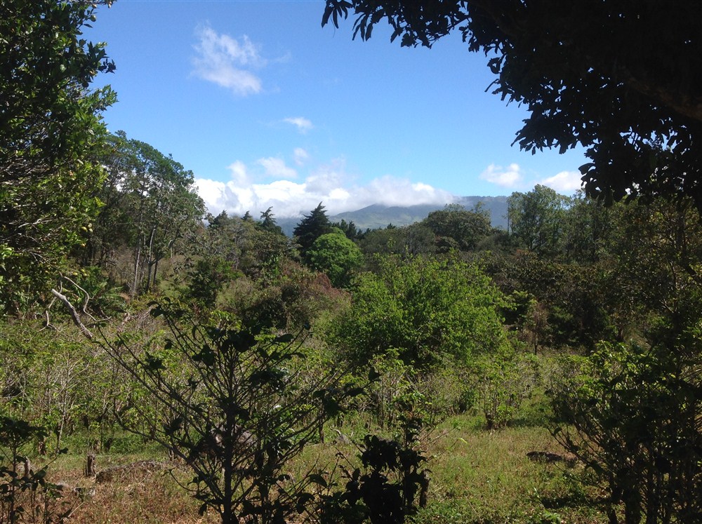 withdrawn Price Reduced! Beautiful Palmira Boquete Lot for Sale on Paved Road photo 8