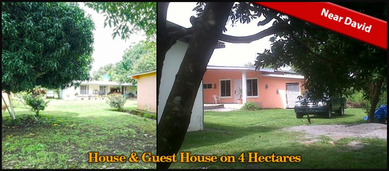 House & Guest House on 4 Hectares (10 Acres) For Sale Near David, Panama photo 12