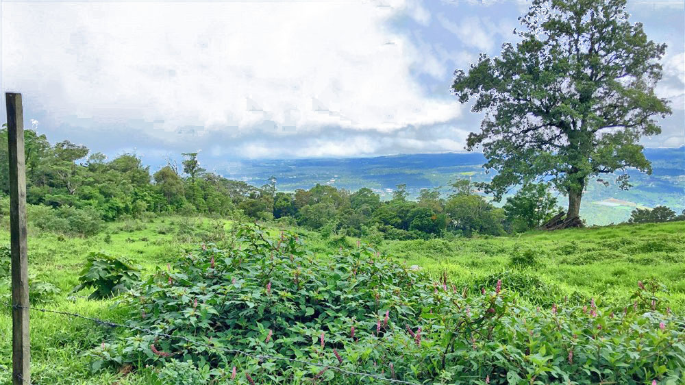 Sold by Casa Solution – Awe-inspiring Land for Sale in Alto Jaramillo, Boquete. photo 11