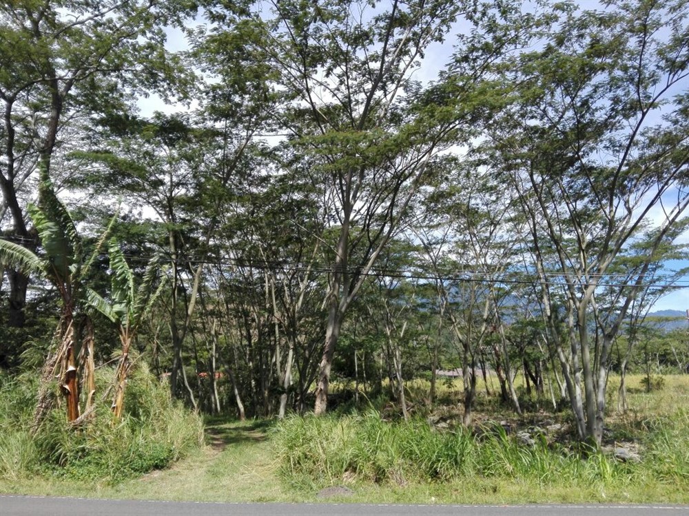 Sold by Owner - Riverfront Property Next to New Panamonte Bridge in Downtown Boquete - Propiedad Frente al Río en el Centro de Boquete photo 6