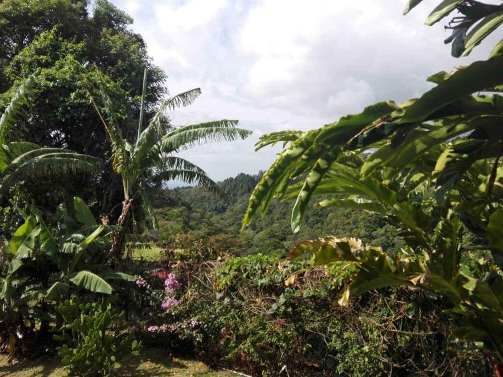 withdrawn - Large New House Plus Alpine Chalet (2 houses) For Sale in Volcancito, Boquete, Panama - Furnished photo 6