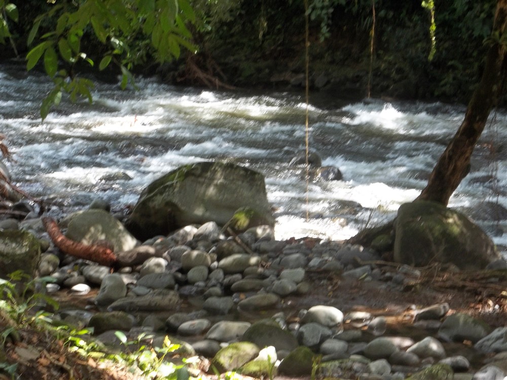 Over 17 Acres of Farm Land Near Volcan, David and Boquete Panama in Chiriqui Province For Sale - Water and Electricity - Agua y Electricidad photo 3