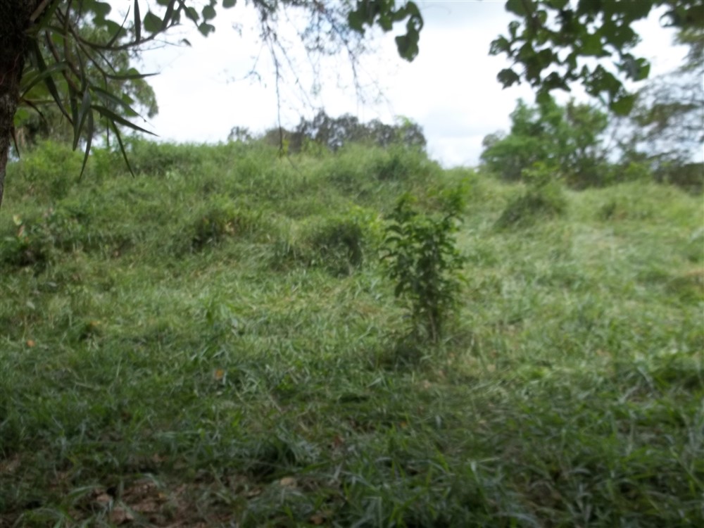 Over 17 Acres of Farm Land Near Volcan, David and Boquete Panama in Chiriqui Province For Sale - Water and Electricity - Agua y Electricidad photo 9