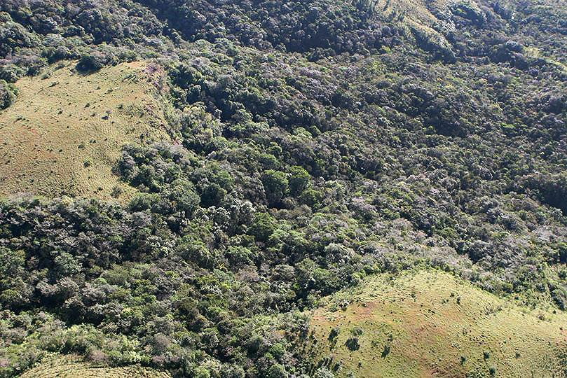 withdrawn Wow price for this size – 25 plus hectares in Caldera with two streams photo 7