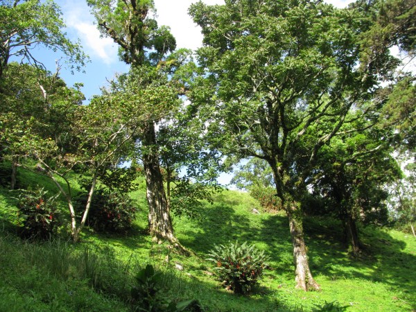 Top of the Springs Boquete Lot 11a – Al Tope de The Springs, Boquete Lote 11a photo 5