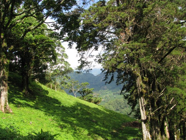 Top of the Springs Boquete Lot 11a – Al Tope de The Springs, Boquete Lote 11a photo 6