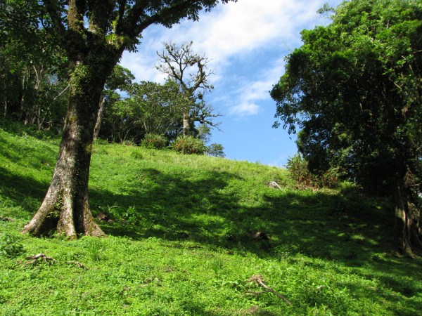 Top of the Springs Boquete Lot 11a – Al Tope de The Springs, Boquete Lote 11a photo 8