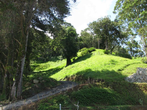 Top of the Springs Boquete Lot 11a – Al Tope de The Springs, Boquete Lote 11a photo 9