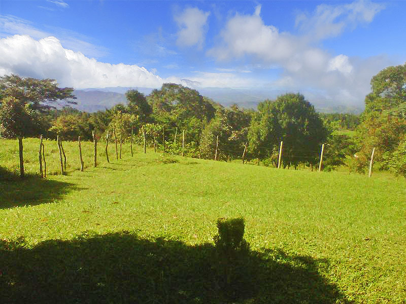Withdrawn - Lot with Charming Cabin for Sale in La Estrella, Jaramillo, Boquete - Chose from Three Lots at Different Prices including One with a Cabin