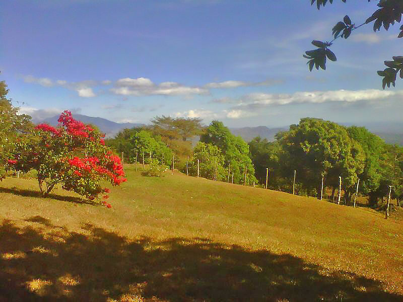 Withdrawn - Lot with Charming Cabin for Sale in La Estrella, Jaramillo, Boquete - Chose from Three Lots at Different Prices including One with a Cabin photo 5
