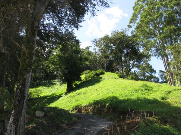 Top of the Springs Boquete Lot 11a – Al Tope de The Springs, Boquete Lote 11a photo 11