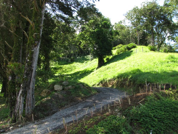 Top of the Springs Boquete Lot 11a – Al Tope de The Springs, Boquete Lote 11a photo 12