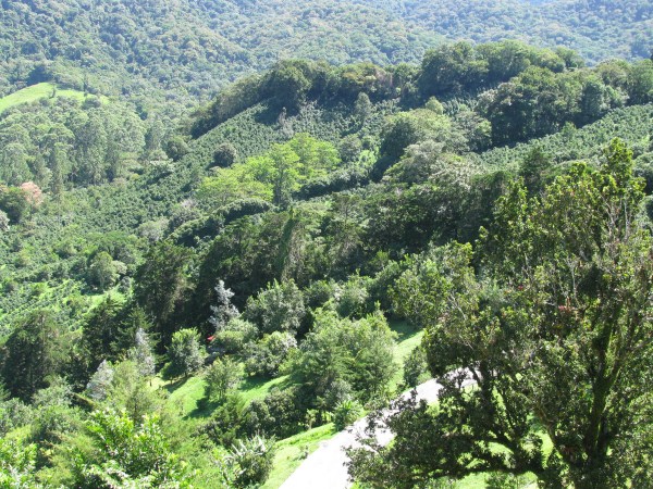 Top of the Springs Lot 11