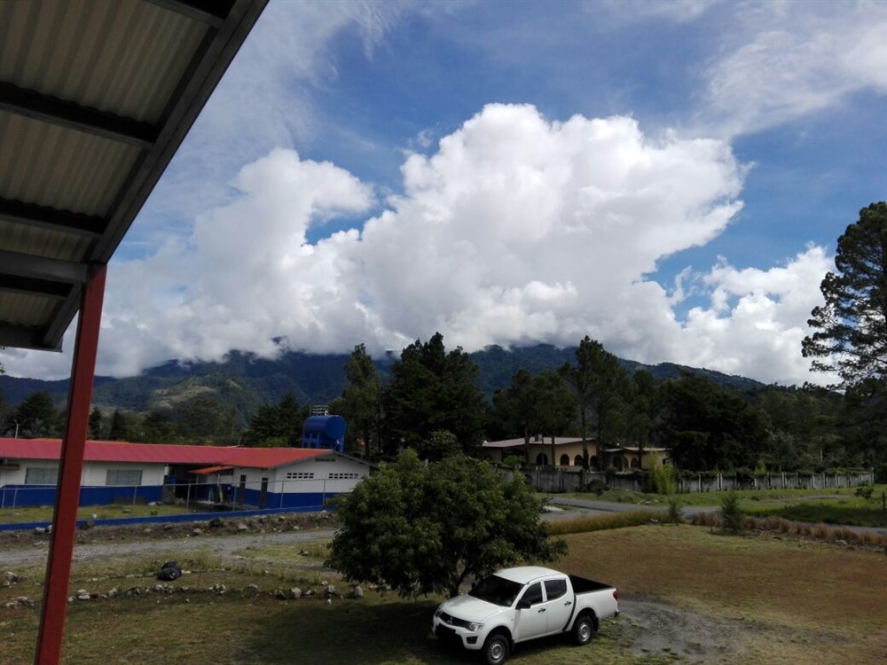 sold Four Plex - Multiple Rental Units for Investor - in Volcan photo 4