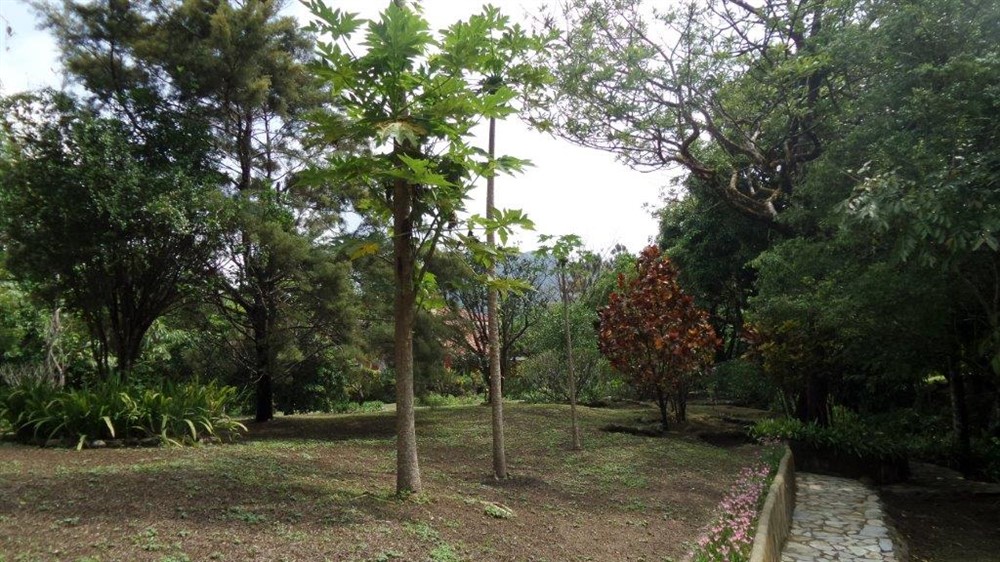 sold Spacious Mountain Home in El Valle, Panama photo 5