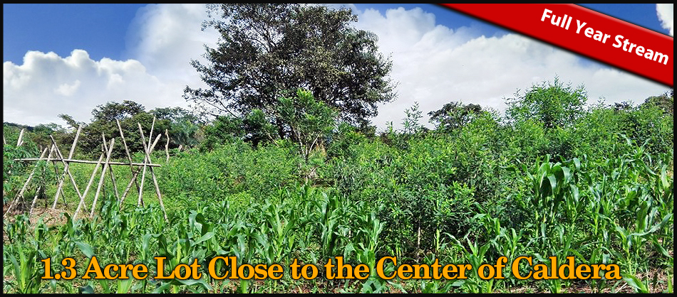 Sold by Casa Solution! House on 0.5 Acre Lot for Sale or Rent Close to the Center of Caldera, Boquete, Panama – Has Full Year Stream & A House