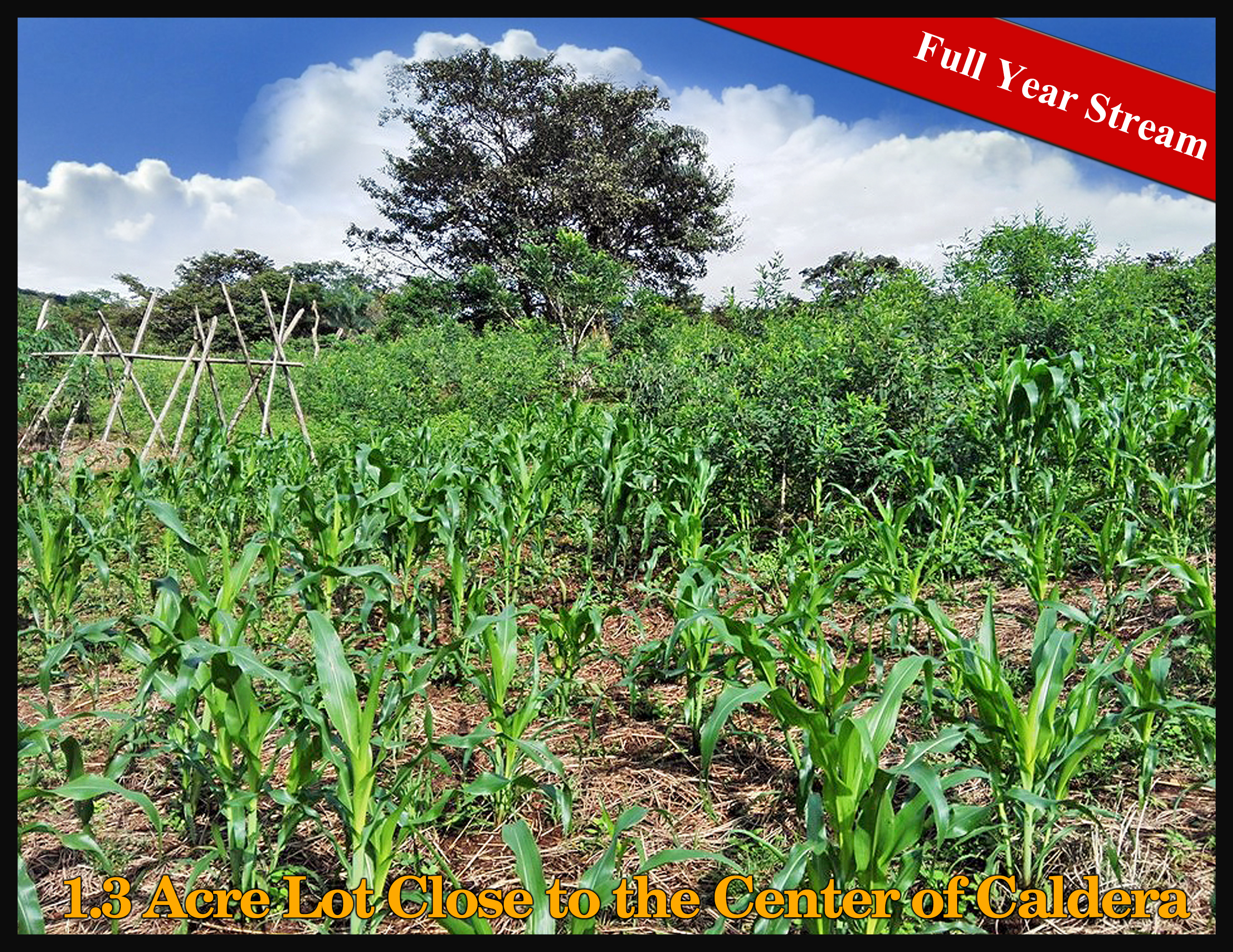 Sold by Casa Solution! House on 0.5 Acre Lot for Sale or Rent Close to the Center of Caldera, Boquete, Panama – Has Full Year Stream & A House photo 2