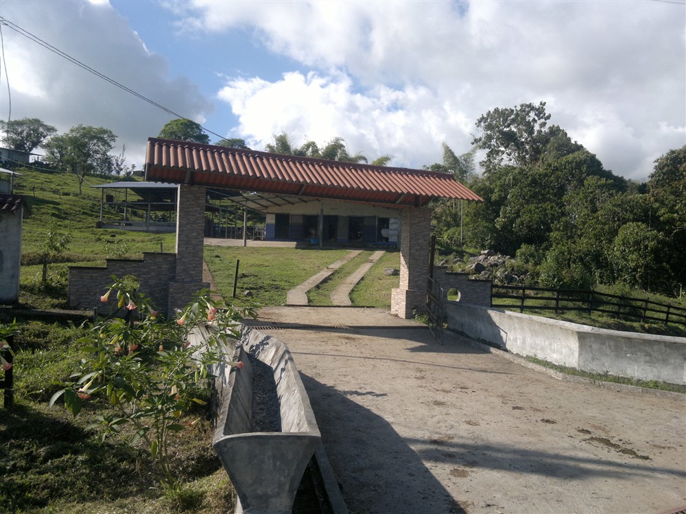 Withdrawn - Large Dairy Farm for Sale near Volcan, Chiriqui, Panama photo 2