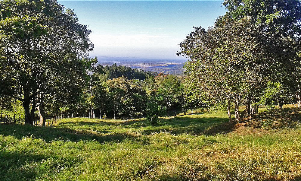 Withdrawn - Lot with Charming Cabin for Sale in La Estrella, Jaramillo, Boquete - Chose from Three Lots at Different Prices including One with a Cabin photo 4