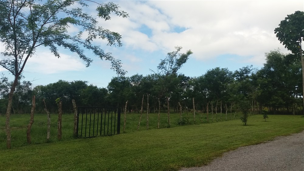 sold 25.75 Hectare Farm for Sale with 2 Houses and a Dairy Operation, Bordered by Two Rivers, Excellent income opportunity photo 9