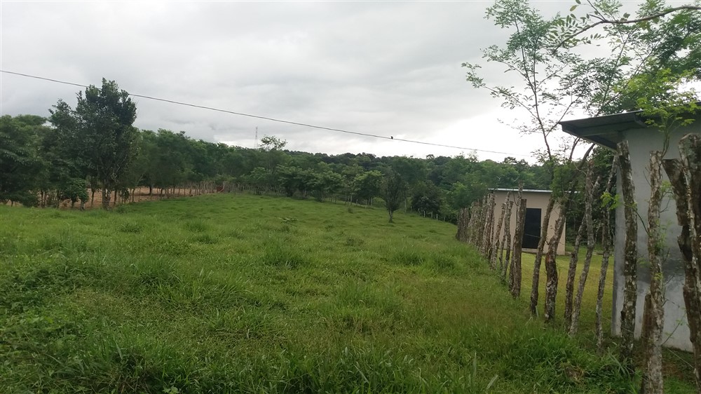 sold 25.75 Hectare Farm for Sale with 2 Houses and a Dairy Operation, Bordered by Two Rivers, Excellent income opportunity photo 12