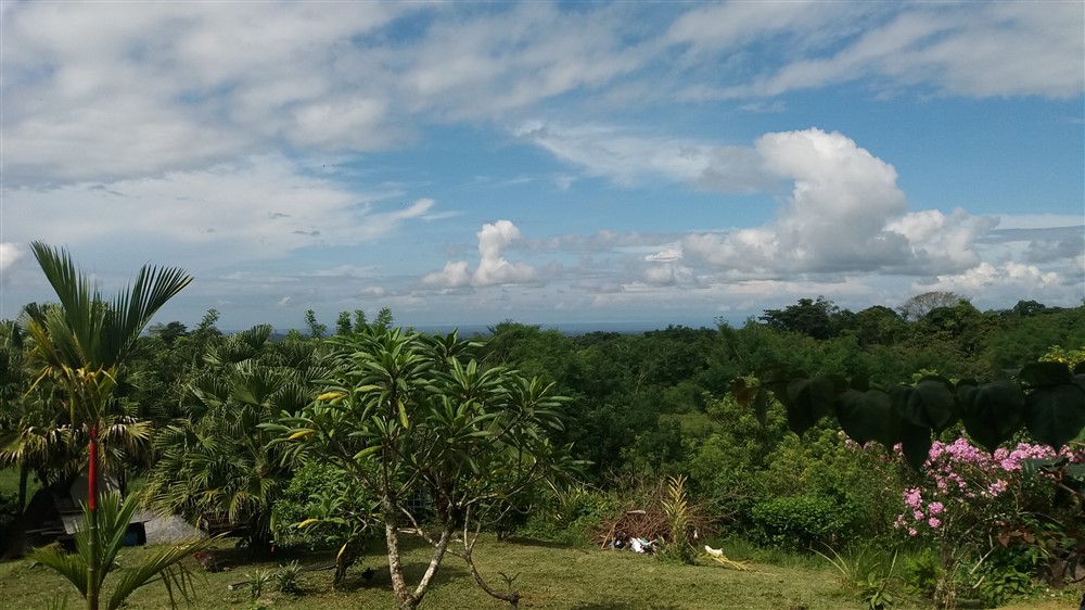 sold 25.75 Hectare Farm for Sale with 2 Houses and a Dairy Operation, Bordered by Two Rivers, Excellent income opportunity photo 5