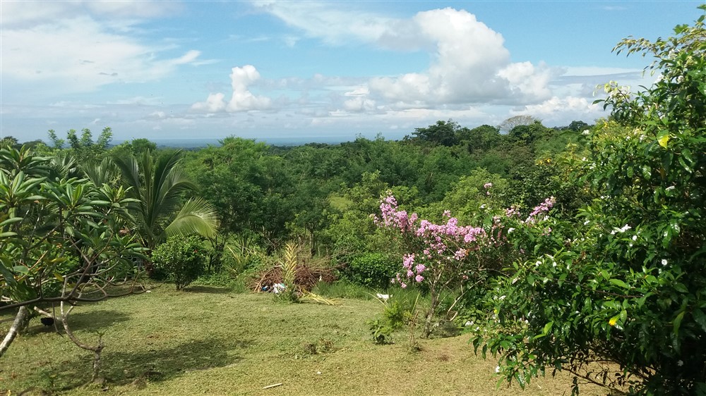 sold 25.75 Hectare Farm for Sale with 2 Houses and a Dairy Operation, Bordered by Two Rivers, Excellent income opportunity photo 6
