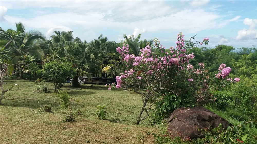 sold 25.75 Hectare Farm for Sale with 2 Houses and a Dairy Operation, Bordered by Two Rivers, Excellent income opportunity photo 8