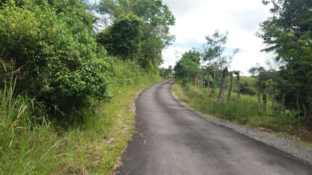 sold 25.75 Hectare Farm for Sale with 2 Houses and a Dairy Operation, Bordered by Two Rivers, Excellent income opportunity photo 4