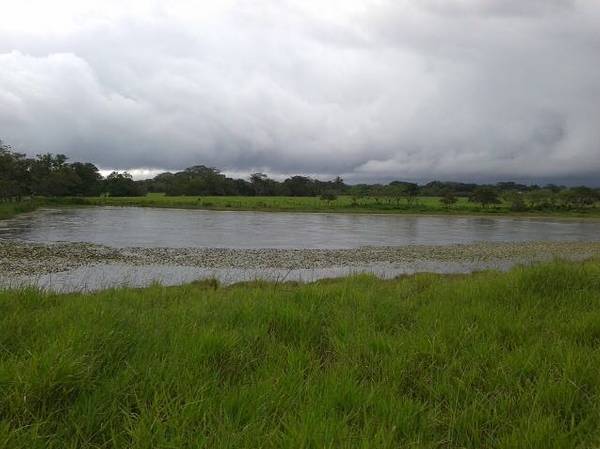 withdrawn An Impressive Huge Farm in Chiriqui near Boquete & David plus House & Infrastructure photo 8