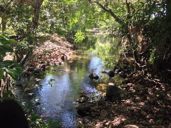 withdrawn An Impressive Huge Farm in Chiriqui near Boquete & David plus House & Infrastructure photo 10