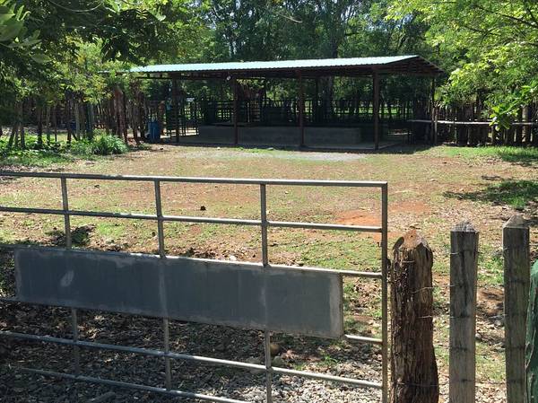 Withdrawn - 138 Acre Cattle Ranch with House & Much More photo 12