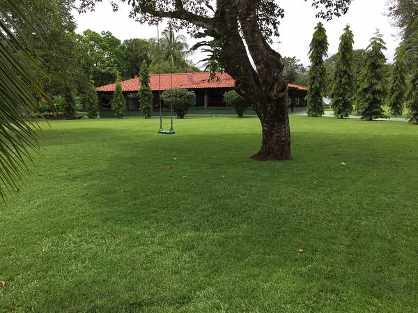 withdrawn An Impressive Huge Farm in Chiriqui near Boquete & David plus House & Infrastructure photo 3