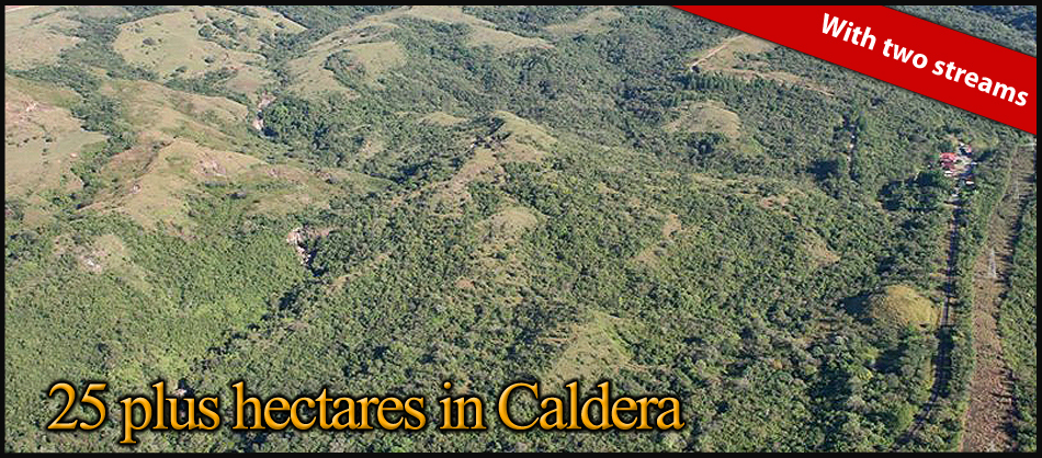 withdrawn Wow price for this size – 25 plus hectares in Caldera with two streams