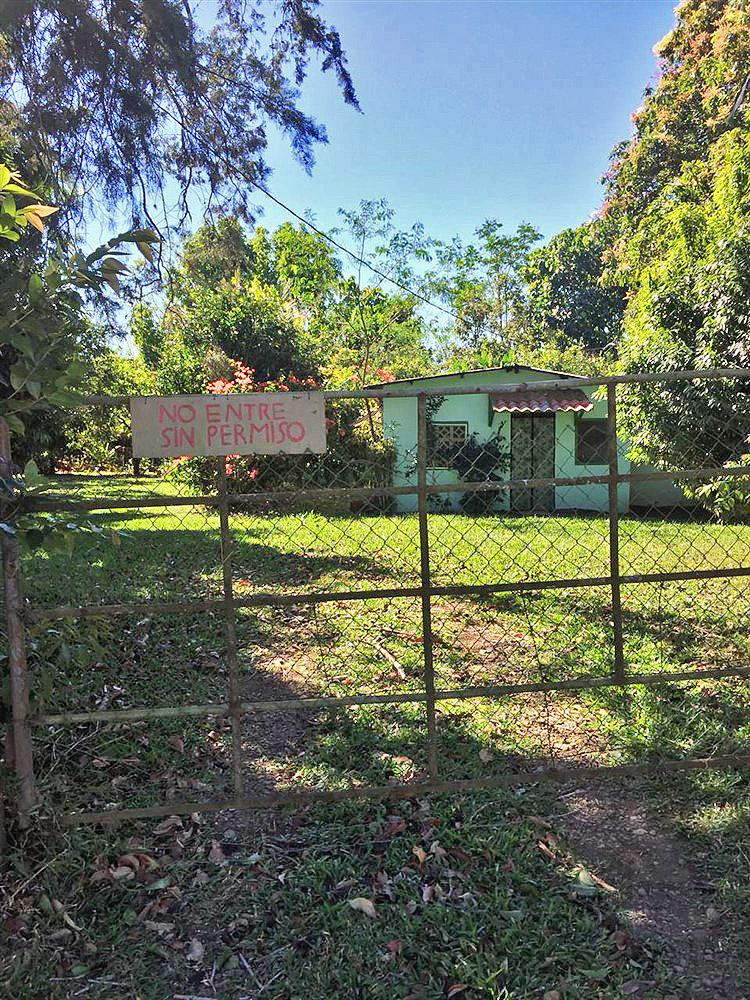 Withdrawn - 15 Hectares in Potrerillos Arriba, Dolega, Chiriqui with Full Year Stream - Different Sizes Available photo 8