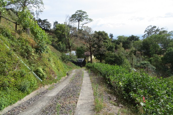 partly sold 3.6 Acres Jaramillo Boquete Top of the Loop Home Site plus Guest House – Reduced photo 8