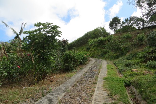 partly sold 3.6 Acres Jaramillo Boquete Top of the Loop Home Site plus Guest House – Reduced photo 9