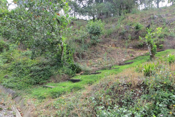 partly sold 3.6 Acres Jaramillo Boquete Top of the Loop Home Site plus Guest House – Reduced photo 10
