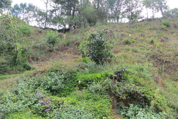 partly sold 3.6 Acres Jaramillo Boquete Top of the Loop Home Site plus Guest House – Reduced photo 11