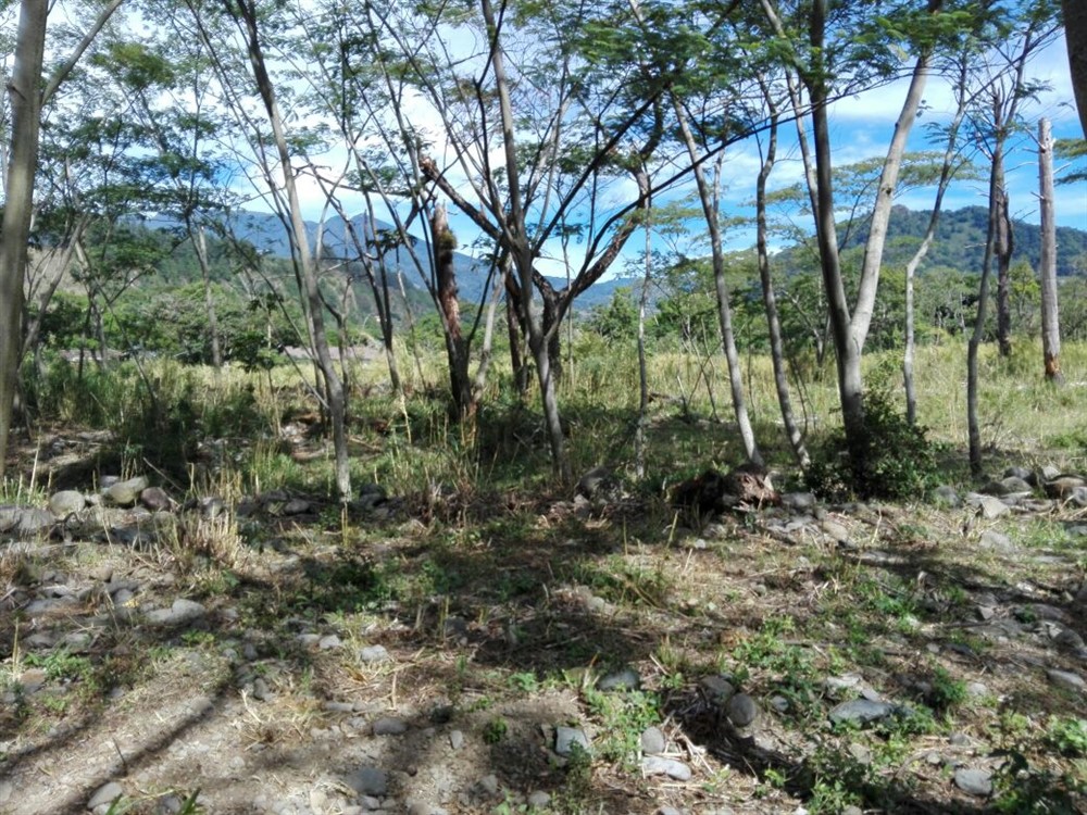 Sold by Owner - Riverfront Property Next to New Panamonte Bridge in Downtown Boquete - Propiedad Frente al Río en el Centro de Boquete photo 7