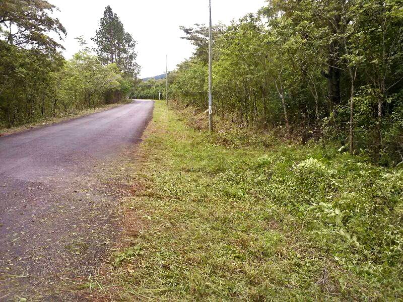 withdrawn Wow price for this size – 25 plus hectares in Caldera with two streams photo 12