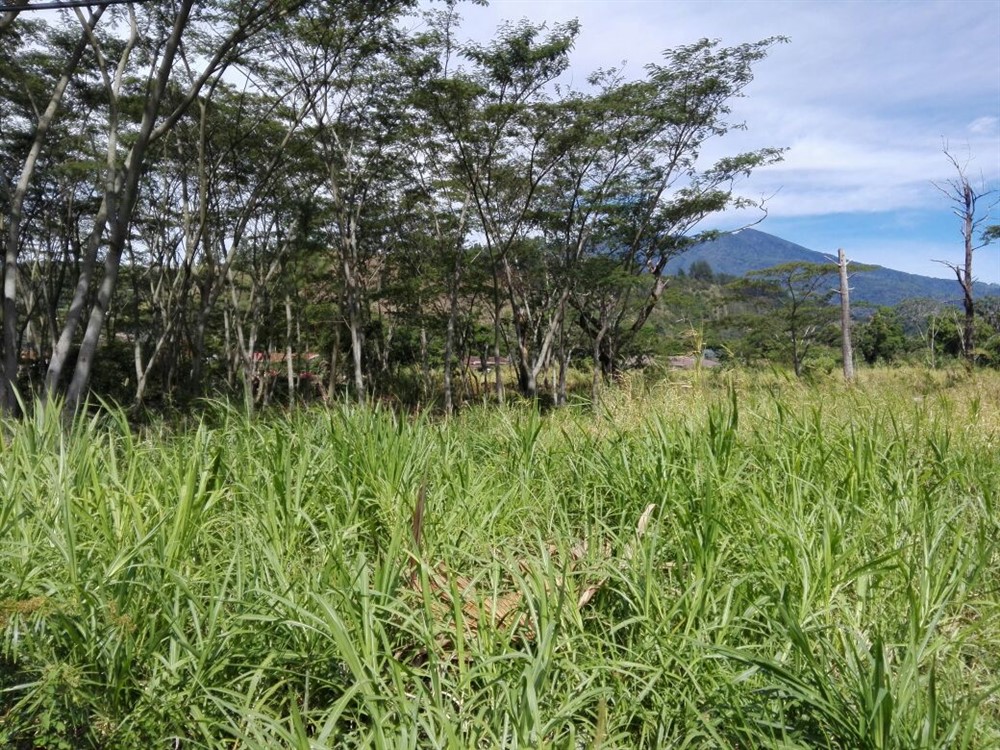Sold by Owner - Riverfront Property Next to New Panamonte Bridge in Downtown Boquete - Propiedad Frente al Río en el Centro de Boquete photo 5