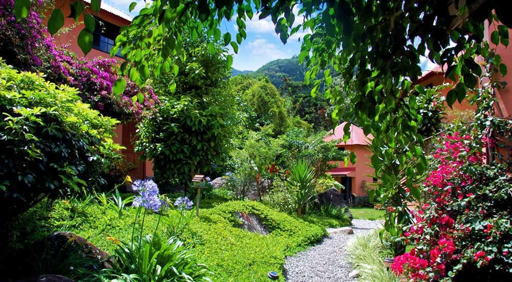 Top Rated Boutique Hotel in Panama is Now For Sale – Established Income Stream – Was 12 Units – Unit 13 Just Added – Most Five Star Reviews of Any Panama Hotel – Mejor Hotel Boutique en Boquete a la Venta photo 3