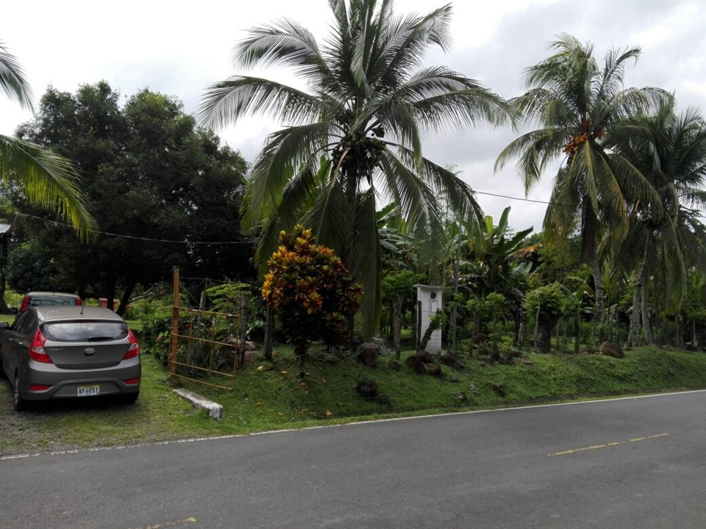 House & Guest House on 4 Hectares (10 Acres) For Sale Near David, Panama photo 9