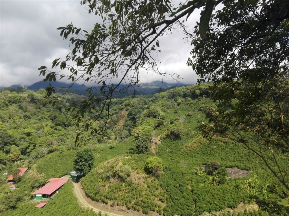 withdrawn - Large New House Plus Alpine Chalet (2 houses) For Sale in Volcancito, Boquete, Panama - Furnished photo 2