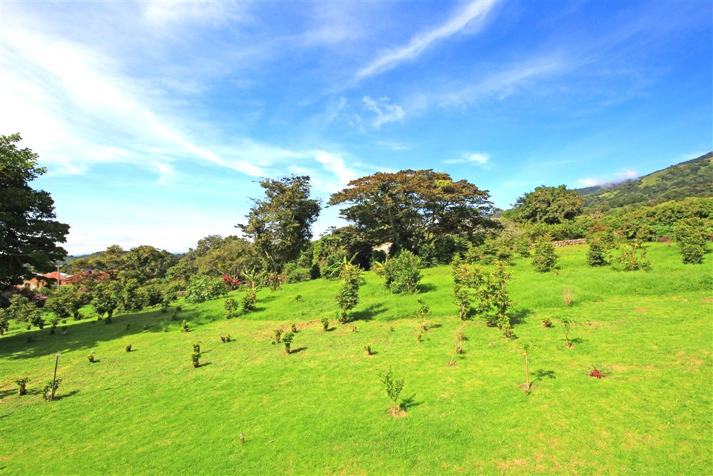 Withdrawn - Magnificent & Private Estate Home & Large Property in Glorious Alto Quiel, Boquete, Panama - Magnífica Propiedad Residencial y Gran Propiedad en Alto Quiel photo 9
