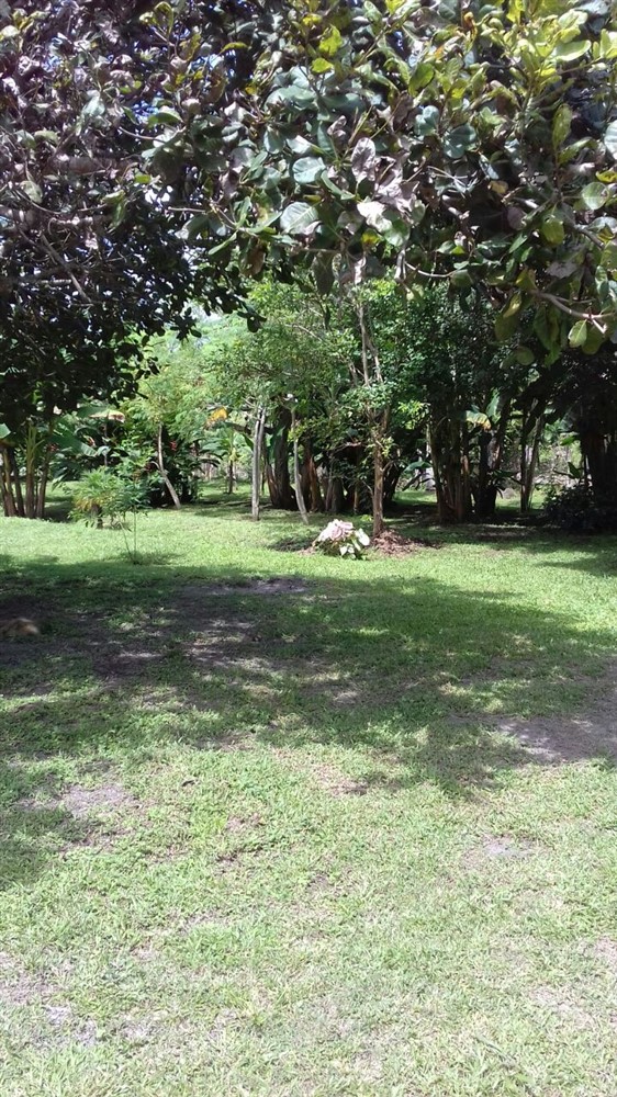 House & Guest House on 4 Hectares (10 Acres) For Sale Near David, Panama photo 6
