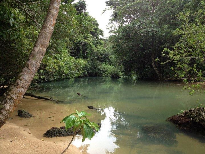 withdrawn Bocas 28 Acres on Ocean with Sandy Beach & River photo 4